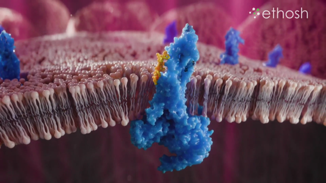 Pharma-Animation-Studio